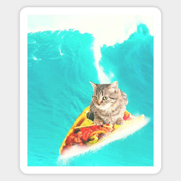 Kitty Cat Surfing Taco Sticker by Random Galaxy